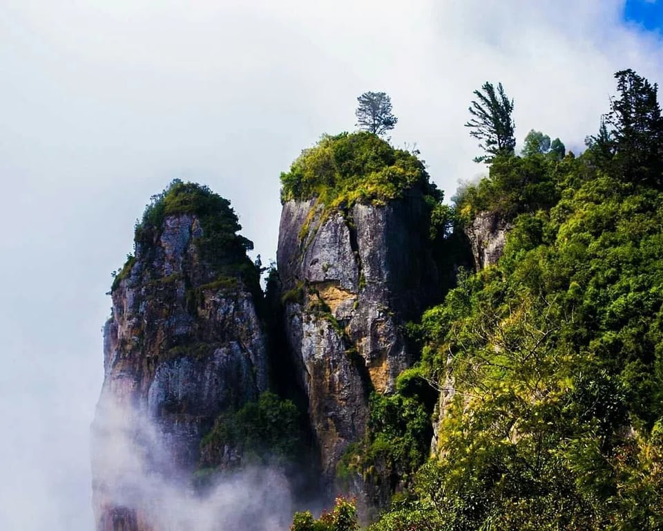Scenic view of Pillar Rocks surrounded by lush green hills in Kodaikanal hill station